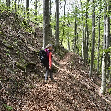 פארק נופש Il Rifugio Dell'aquila Ligonchio