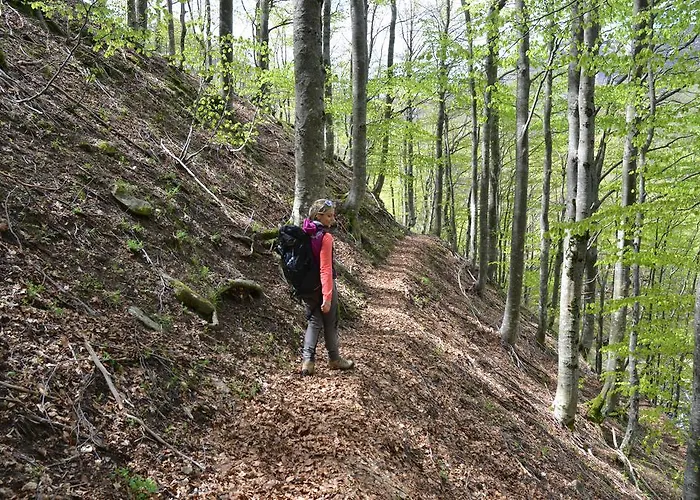 Vakantiepark Il Rifugio Dell'aquila Ligonchio